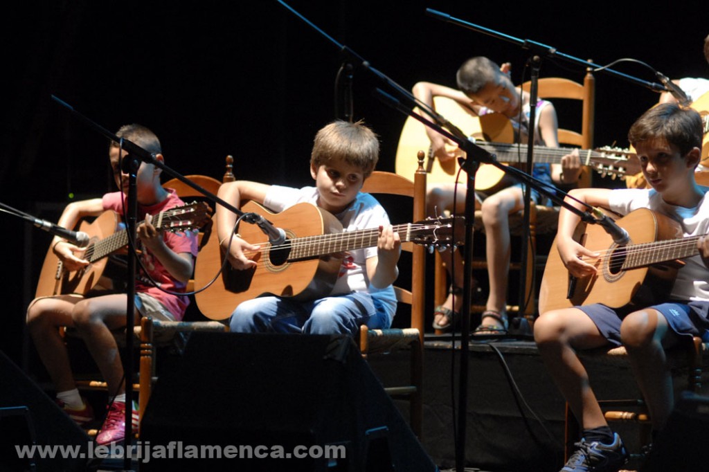 Guitarra flamenca.