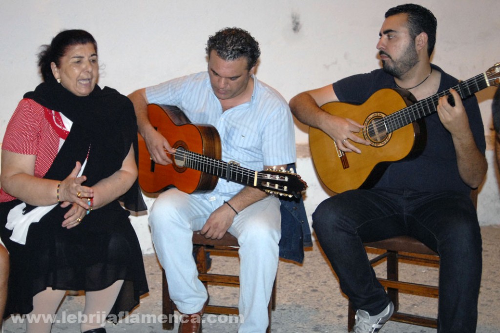 Bienal de Flamenco 2014