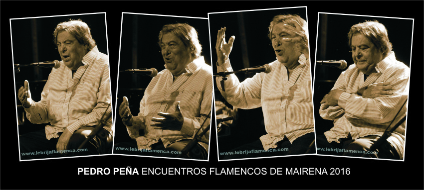 #TiraFlamenca4x1 Pedro Peña en los Encuentros Flamencos de Mairena 2016