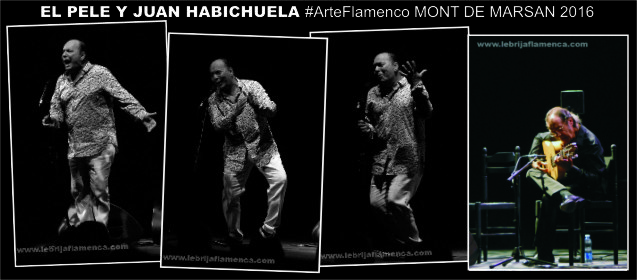 #TiraFlamenca4x1 #ArteFlamenco El Pele y Juan Habichuela en Mont de Marsan 2016