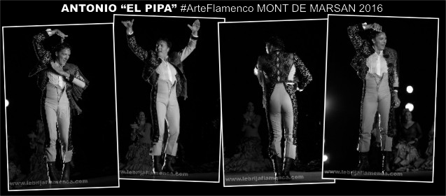 #TiraFlamenca4x1 #ArteFlamenco Antonio El Pipa en Mont de Marsan 2016