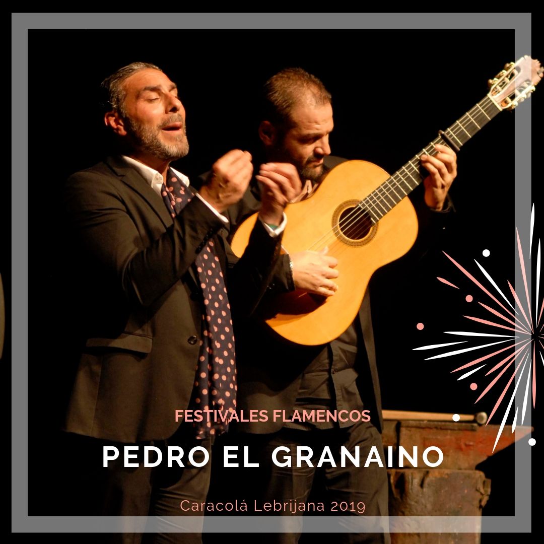 Artistas flamencos 54 Caracolá Lebrijana 2019_Pedro El Granaíno