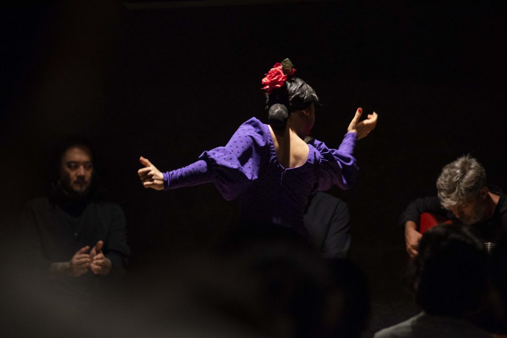 Flamenco