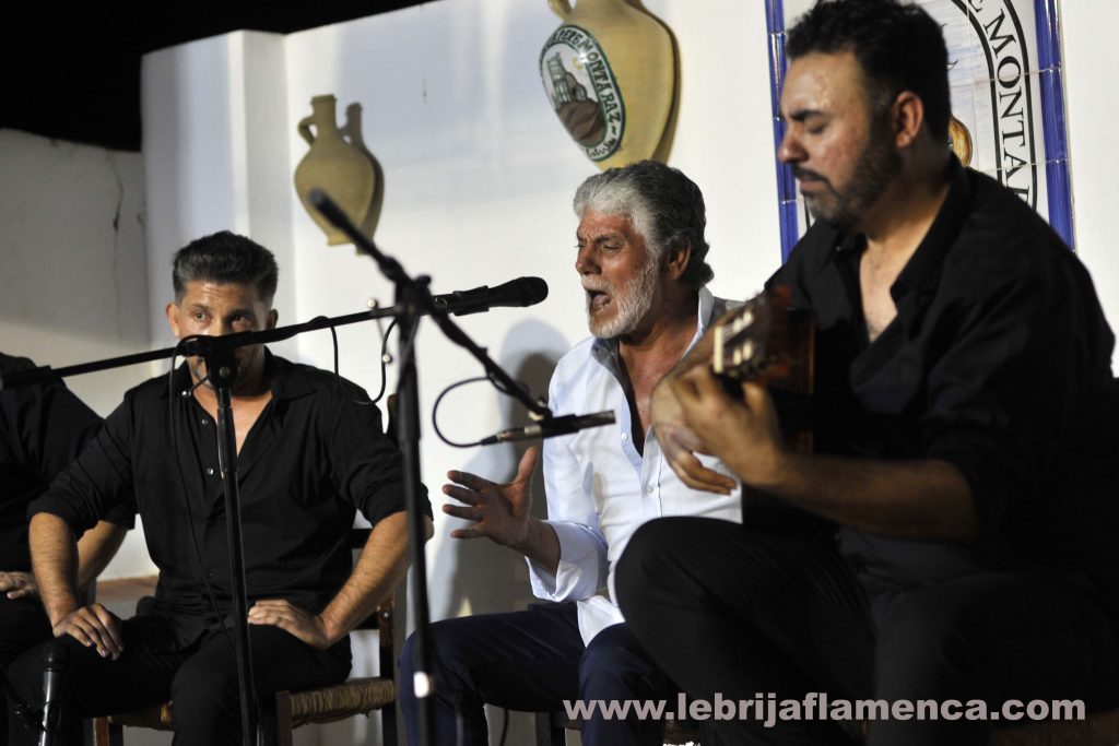 Flamenco