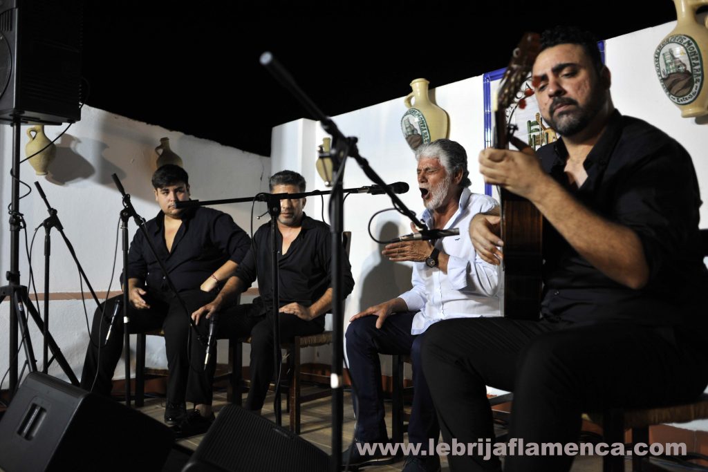 Flamenco