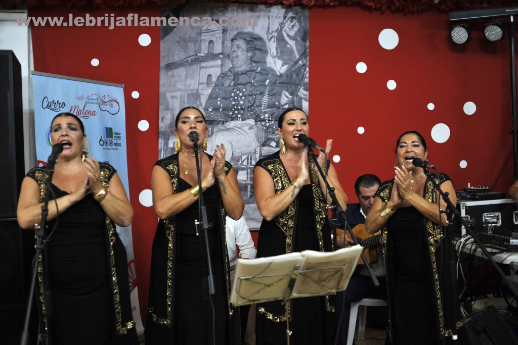 Flamenco
