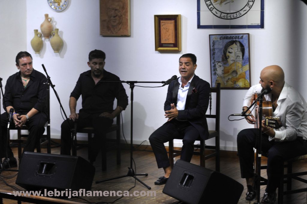 Flamenco