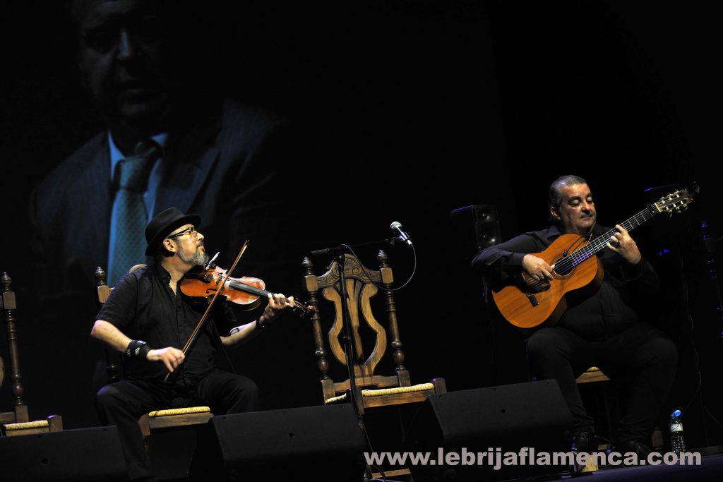 Flamenco