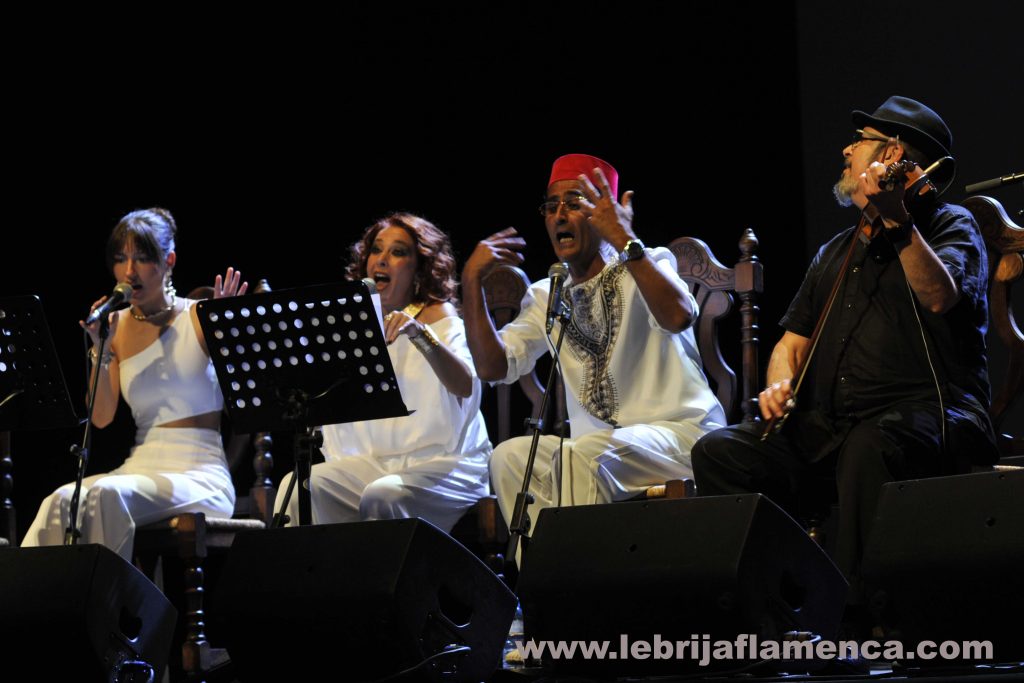 Flamenco