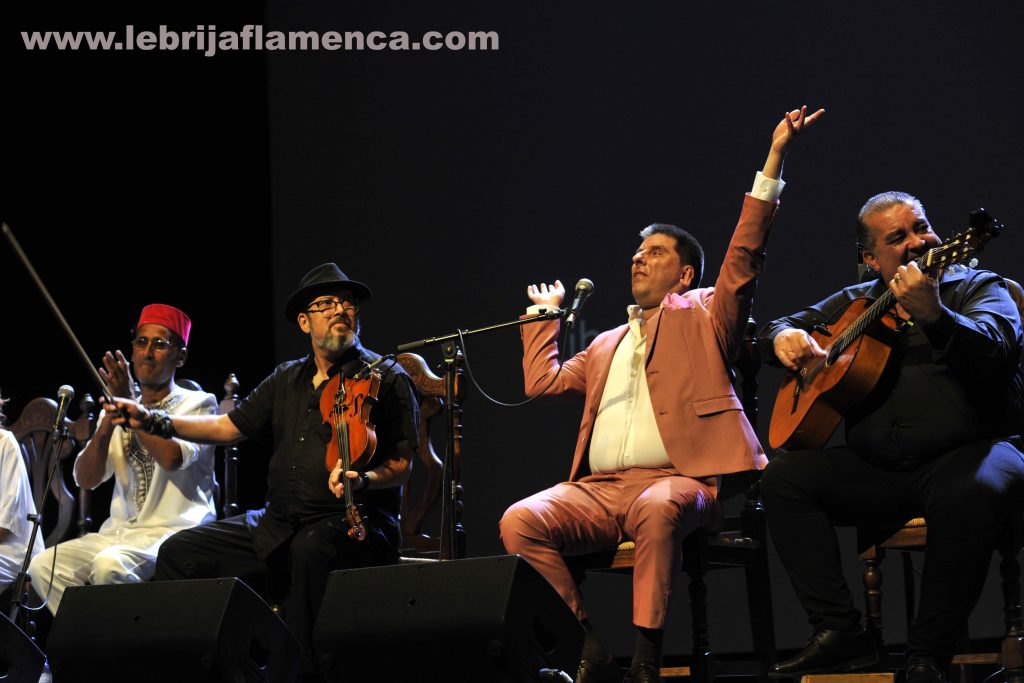 Flamenco