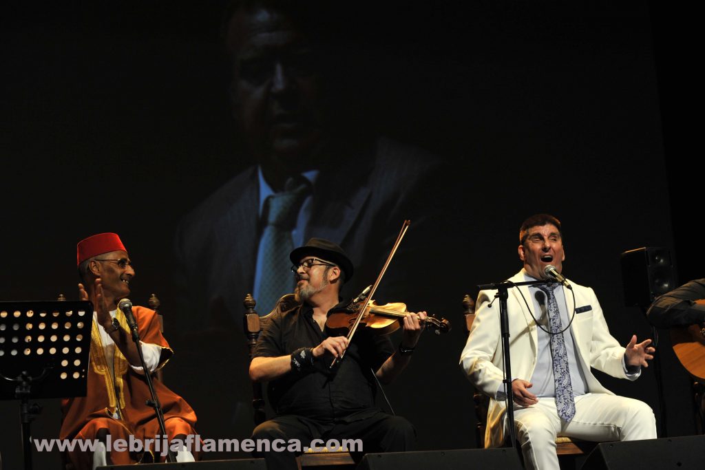 Flamenco