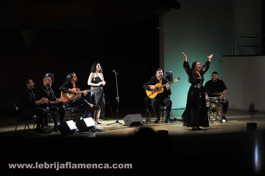Flamenco