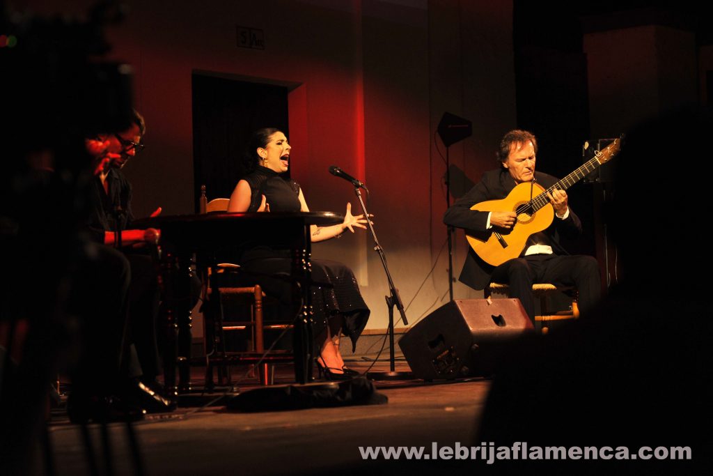 Flamenco