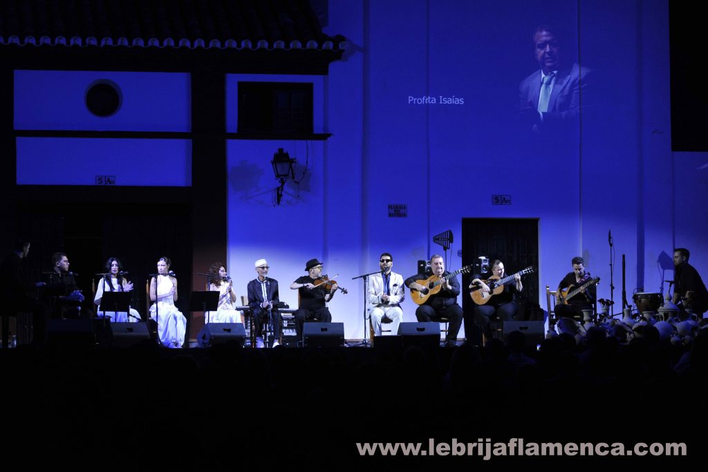Flamenco