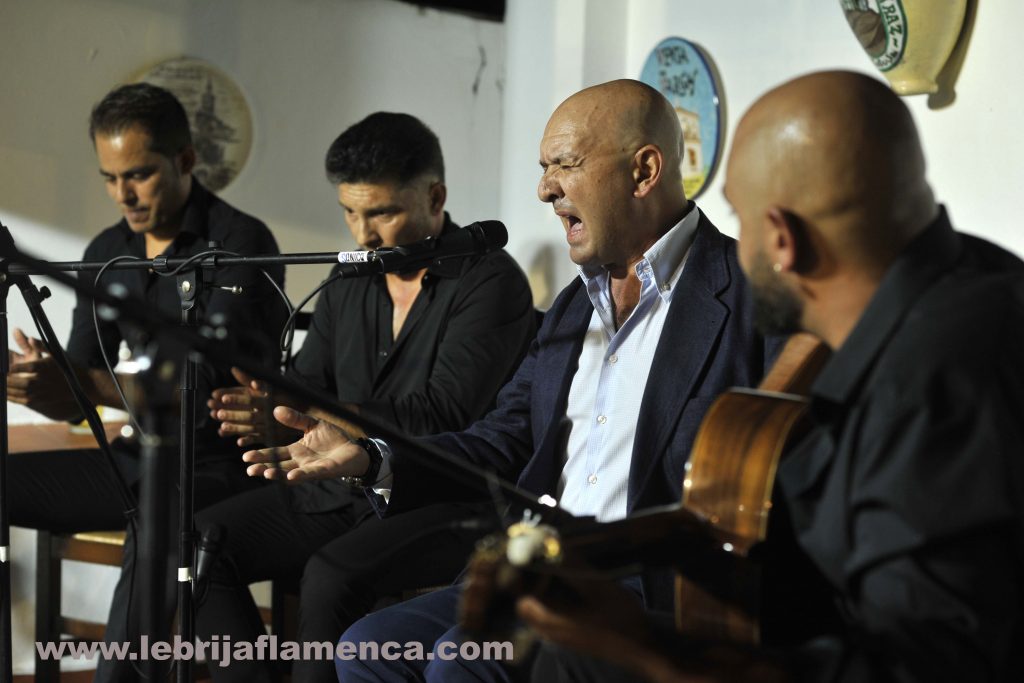 Flamenco