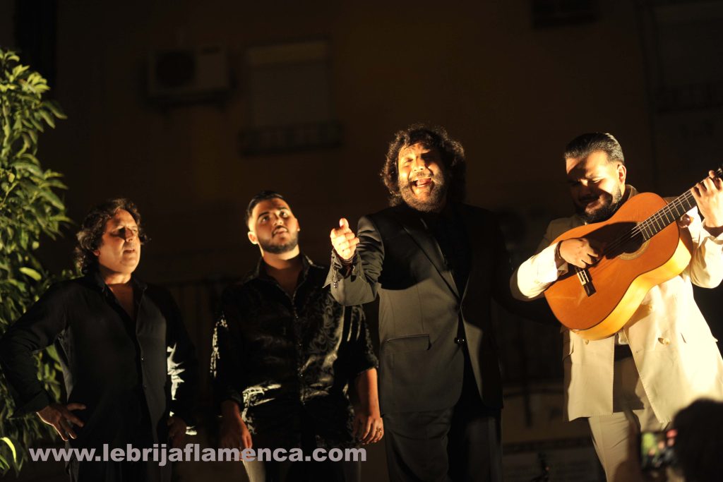 Flamenco