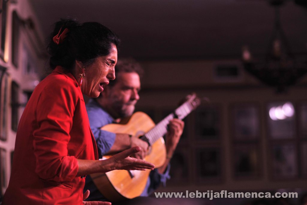 Flamenco
